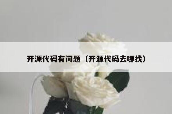 开源代码有问题（开源代码去哪找） 第1张