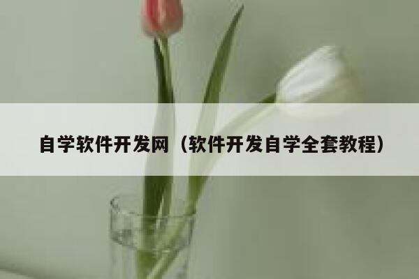 自学软件开发网（软件开发自学全套教程） 第1张