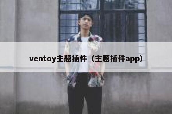 ventoy主题插件（主题插件app） 第1张