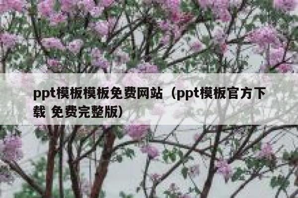 ppt模板模板免费网站（ppt模板官方下载 免费完整版） 第1张