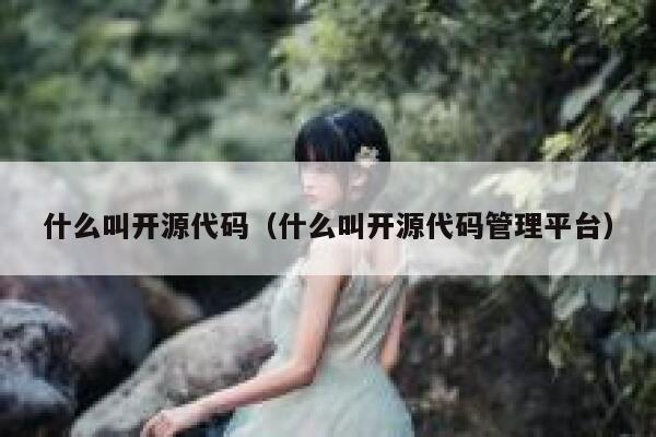 什么叫开源代码（什么叫开源代码管理平台） 第1张