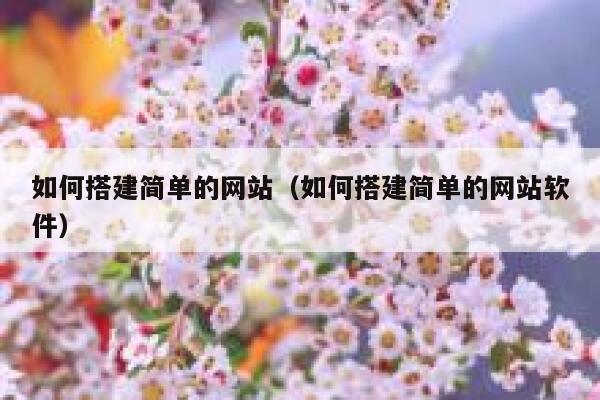 如何搭建简单的网站（如何搭建简单的网站软件） 第1张