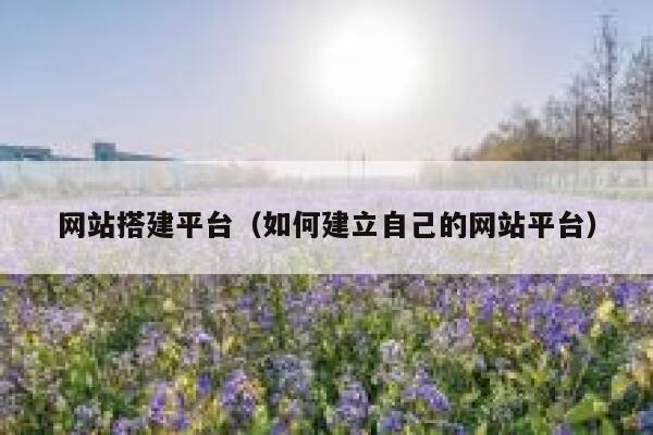 网站搭建平台（如何建立自己的网站平台） 第1张