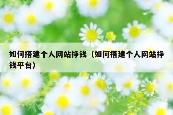 如何搭建个人网站挣钱（如何搭建个人网站挣钱平台） 第1张