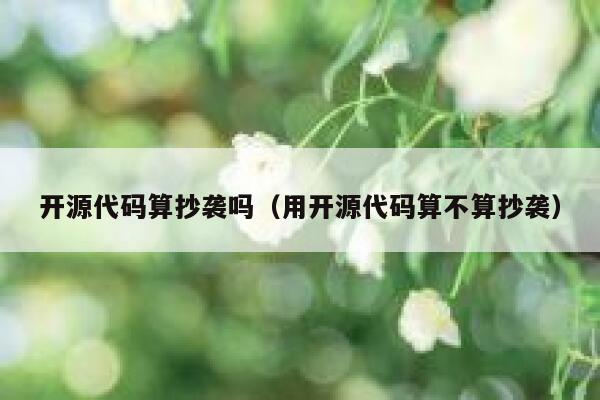 开源代码算抄袭吗（用开源代码算不算抄袭） 第1张