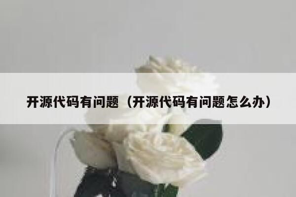 开源代码有问题（开源代码有问题怎么办） 第1张