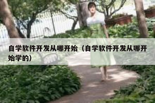 自学软件开发从哪开始（自学软件开发从哪开始学的） 第1张