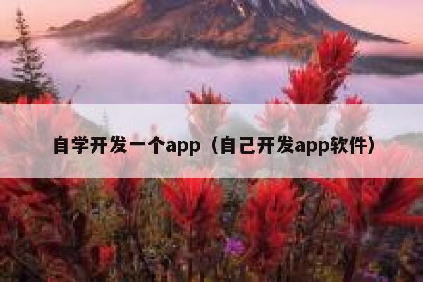 自学开发一个app（自己开发app软件） 第1张