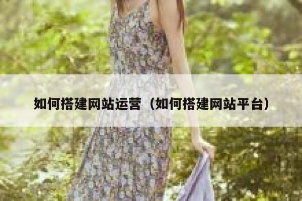 如何搭建网站运营（如何搭建网站平台） 第1张