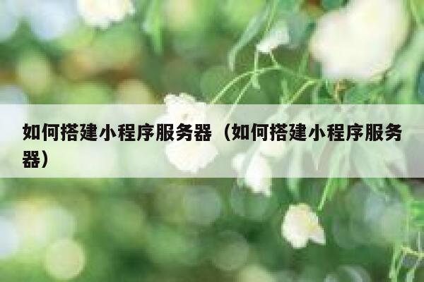 如何搭建小程序服务器（如何搭建小程序服务器） 第1张