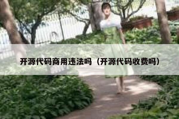 开源代码商用违法吗（开源代码收费吗） 第1张