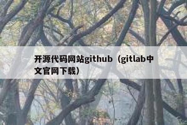 开源代码网站github（gitlab中文官网下载） 第1张