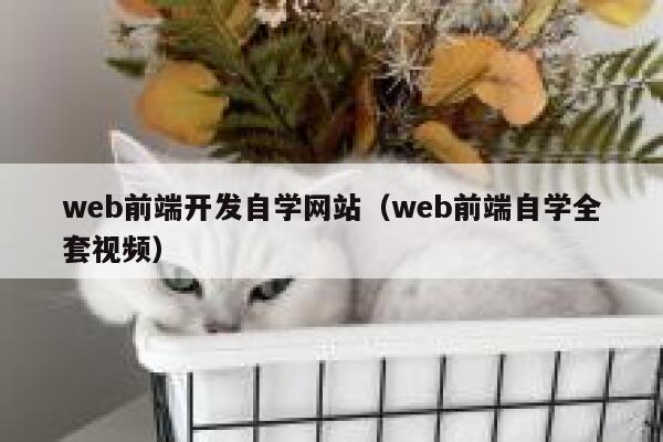 web前端开发自学网站（web前端自学全套视频） 第1张