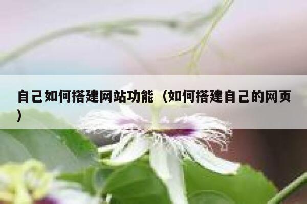 自己如何搭建网站功能（如何搭建自己的网页） 第1张