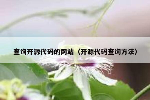 查询开源代码的网站（开源代码查询方法） 第1张