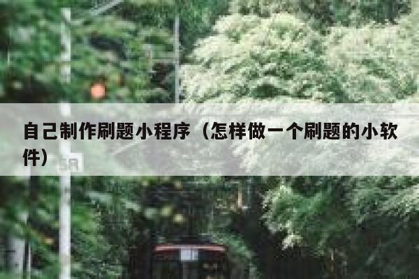 自己制作刷题小程序（怎样做一个刷题的小软件） 第1张