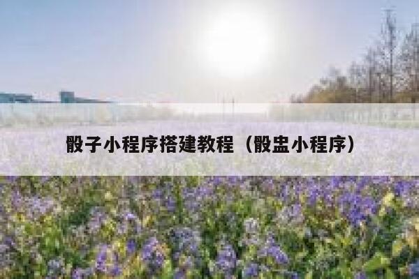 骰子小程序搭建教程（骰盅小程序） 第1张