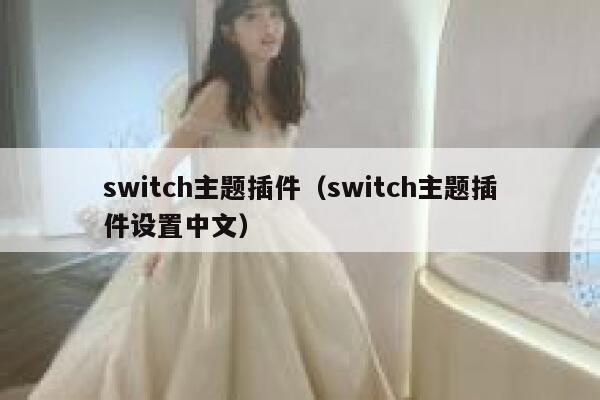 switch主题插件（switch主题插件设置中文） 第1张