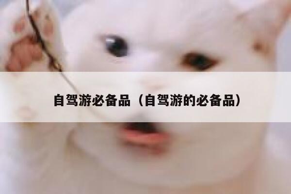 自驾游必备品（自驾游的必备品） 第1张