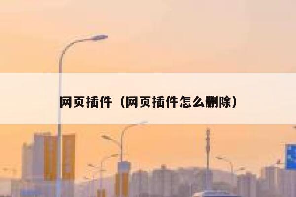 网页插件（网页插件怎么删除） 第1张