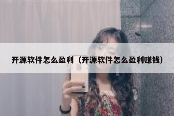 开源软件怎么盈利（开源软件怎么盈利赚钱） 第1张