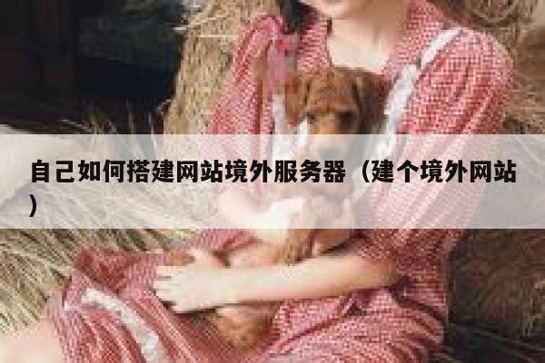 自己如何搭建网站境外服务器（建个境外网站） 第1张