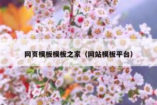 网页模板模板之家（网站模板平台） 第1张