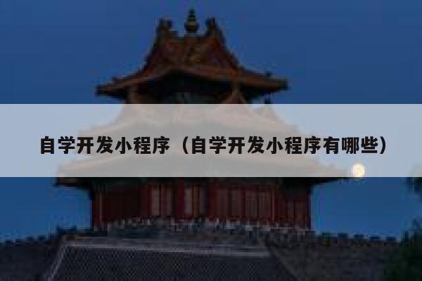 自学开发小程序（自学开发小程序有哪些） 第1张