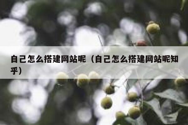 自己怎么搭建网站呢（自己怎么搭建网站呢知乎） 第1张