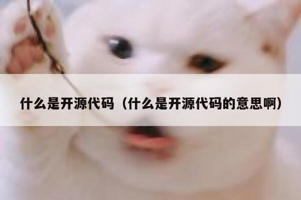 什么是开源代码（什么是开源代码的意思啊） 第1张