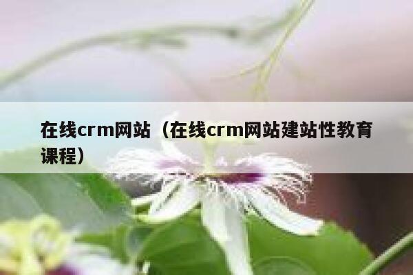 在线crm网站（在线crm网站建站性教育课程） 第1张