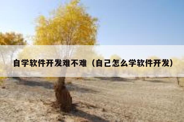 自学软件开发难不难（自己怎么学软件开发） 第1张