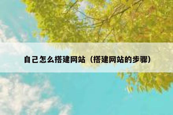 自己怎么搭建网站（搭建网站的步骤） 第1张