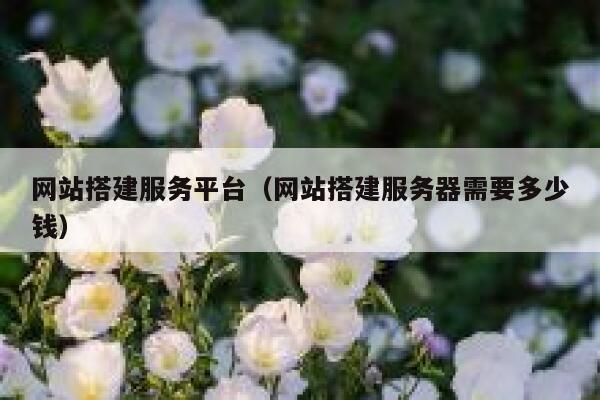 网站搭建服务平台（网站搭建服务器需要多少钱） 第1张