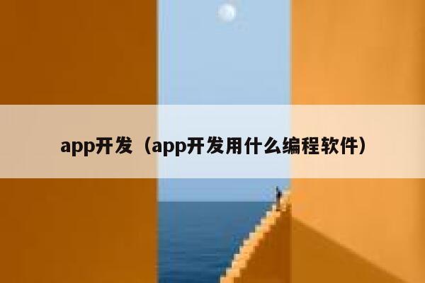 app开发（app开发用什么编程软件） 第1张