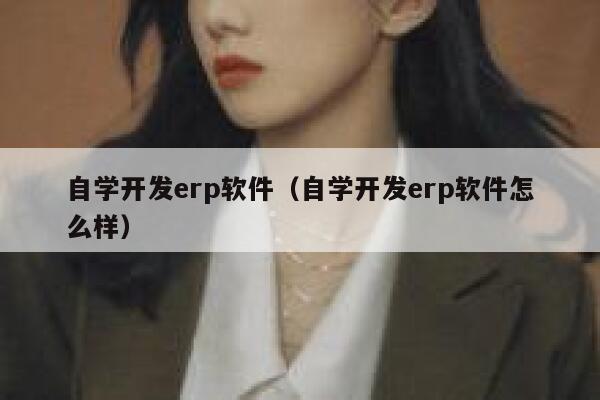 自学开发erp软件（自学开发erp软件怎么样） 第1张