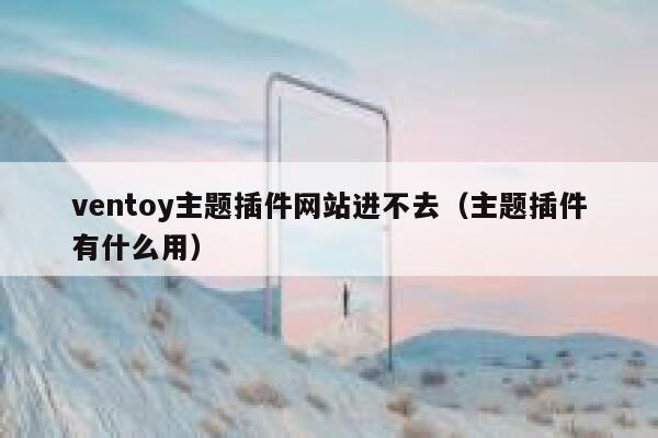 ventoy主题插件网站进不去（主题插件有什么用） 第1张