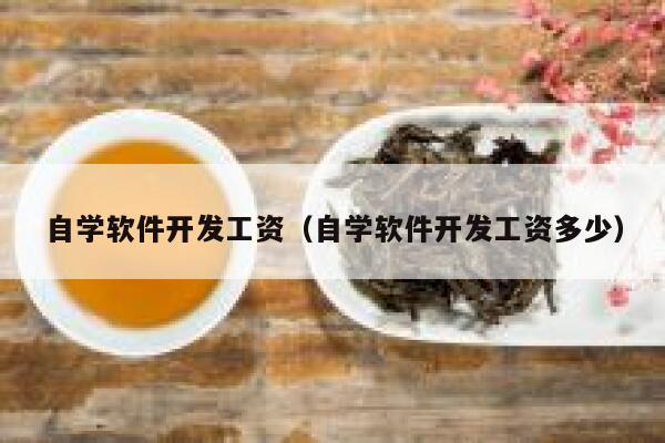 自学软件开发工资（自学软件开发工资多少） 第1张