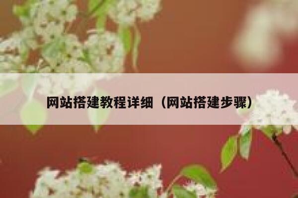 网站搭建教程详细（网站搭建步骤） 第1张