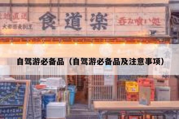 自驾游必备品（自驾游必备品及注意事项） 第1张