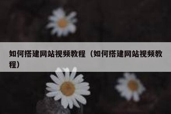 如何搭建网站视频教程（如何搭建网站视频教程） 第1张