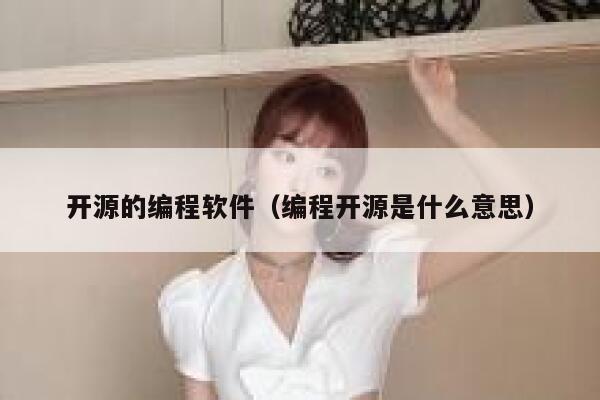 开源的编程软件（编程开源是什么意思） 第1张