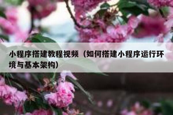 小程序搭建教程视频（如何搭建小程序运行环境与基本架构） 第1张