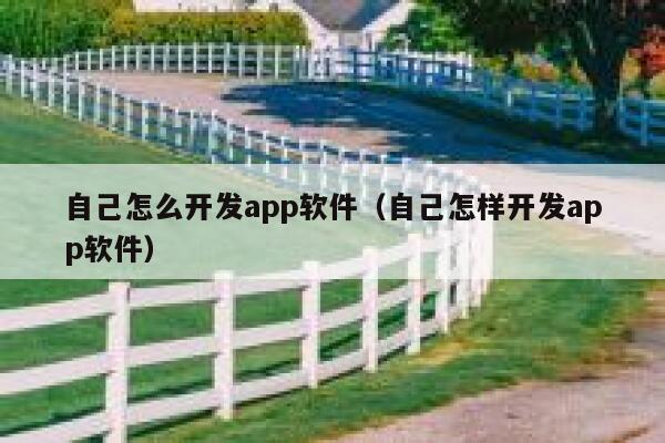 自己怎么开发app软件（自己怎样开发app软件） 第1张