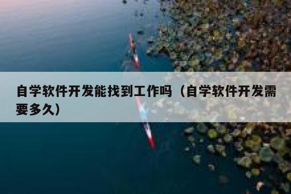 自学软件开发能找到工作吗（自学软件开发需要多久） 第1张