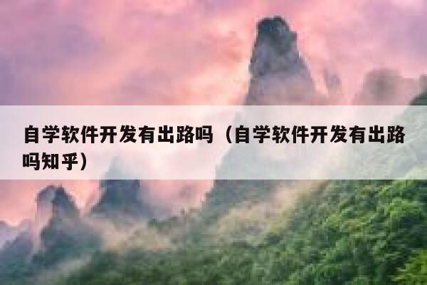 自学软件开发有出路吗（自学软件开发有出路吗知乎） 第1张