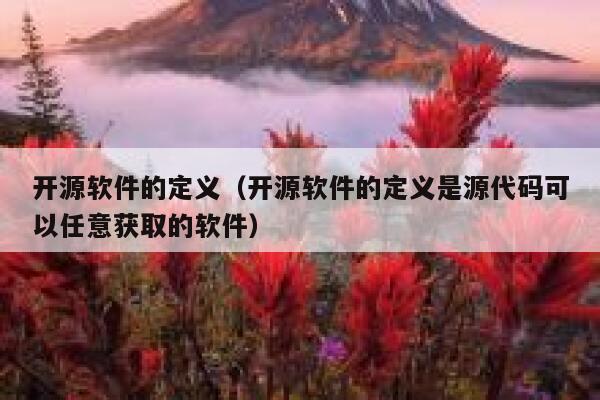 开源软件的定义（开源软件的定义是源代码可以任意获取的软件） 第1张