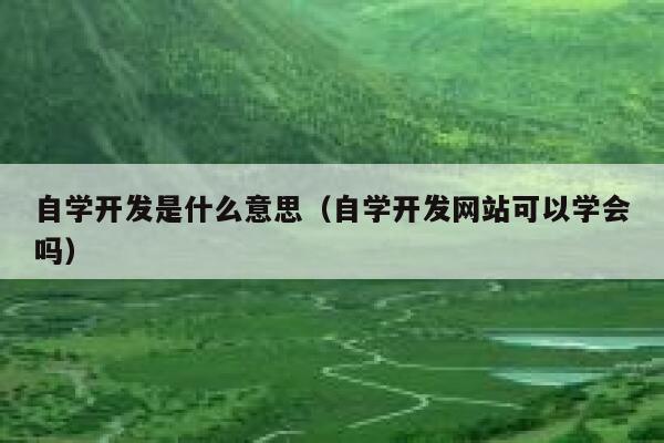 自学开发是什么意思（自学开发网站可以学会吗） 第1张