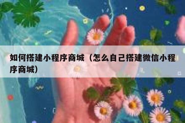 如何搭建小程序商城（怎么自己搭建微信小程序商城） 第1张