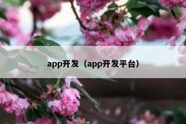 app开发（app开发平台） 第1张